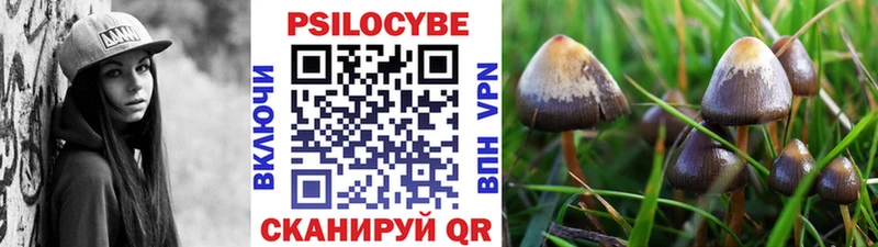 Галлюциногенные грибы Cubensis  хочу наркоту  Льгов 