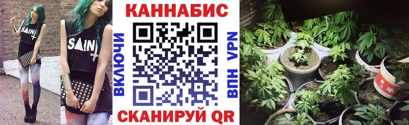 где продают   Льгов  Канабис SATIVA & INDICA 